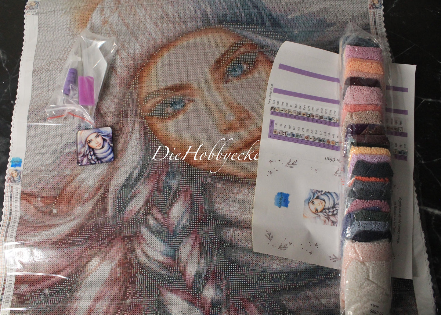 Diamond Painting Bild Alice Winter