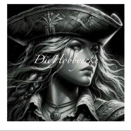 Diamond Painting Bild Piratin Silent Hope