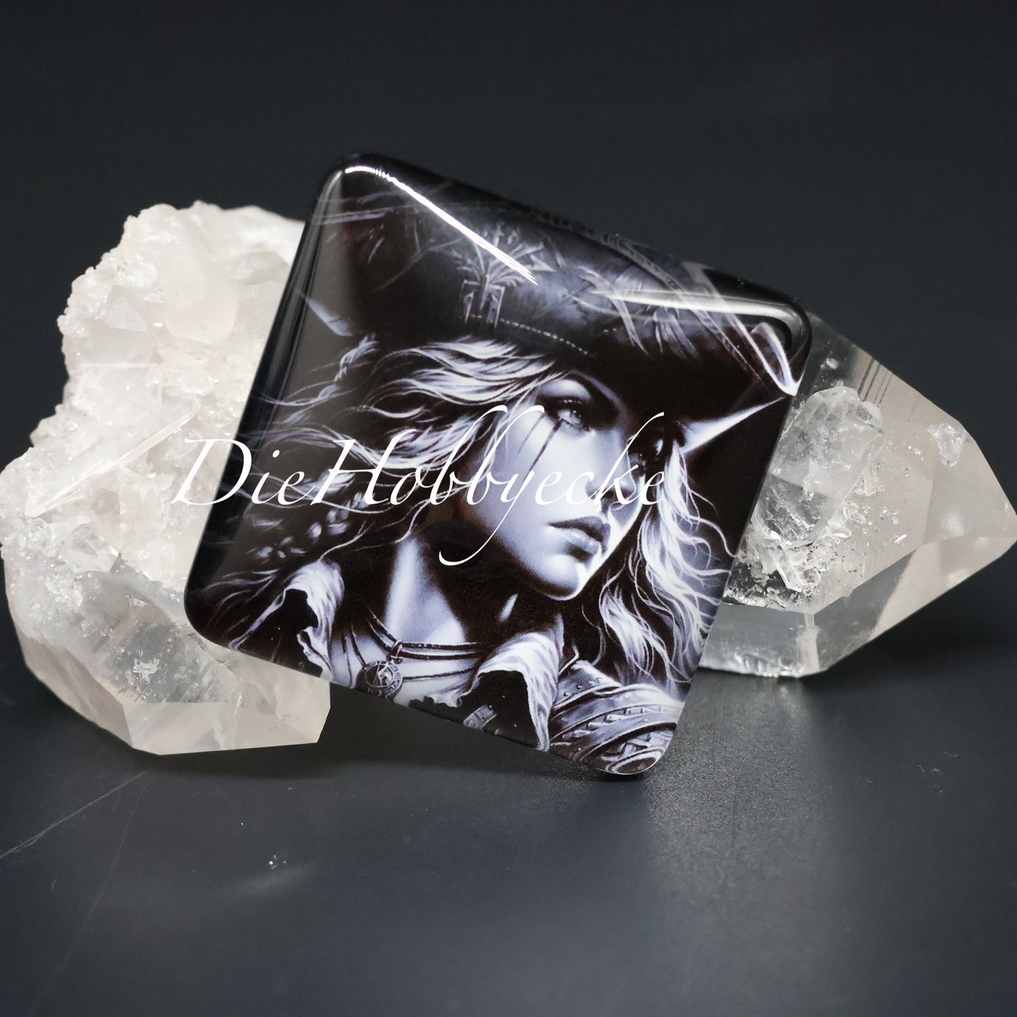 Diamond Painting Bild Piratin Silent Hope