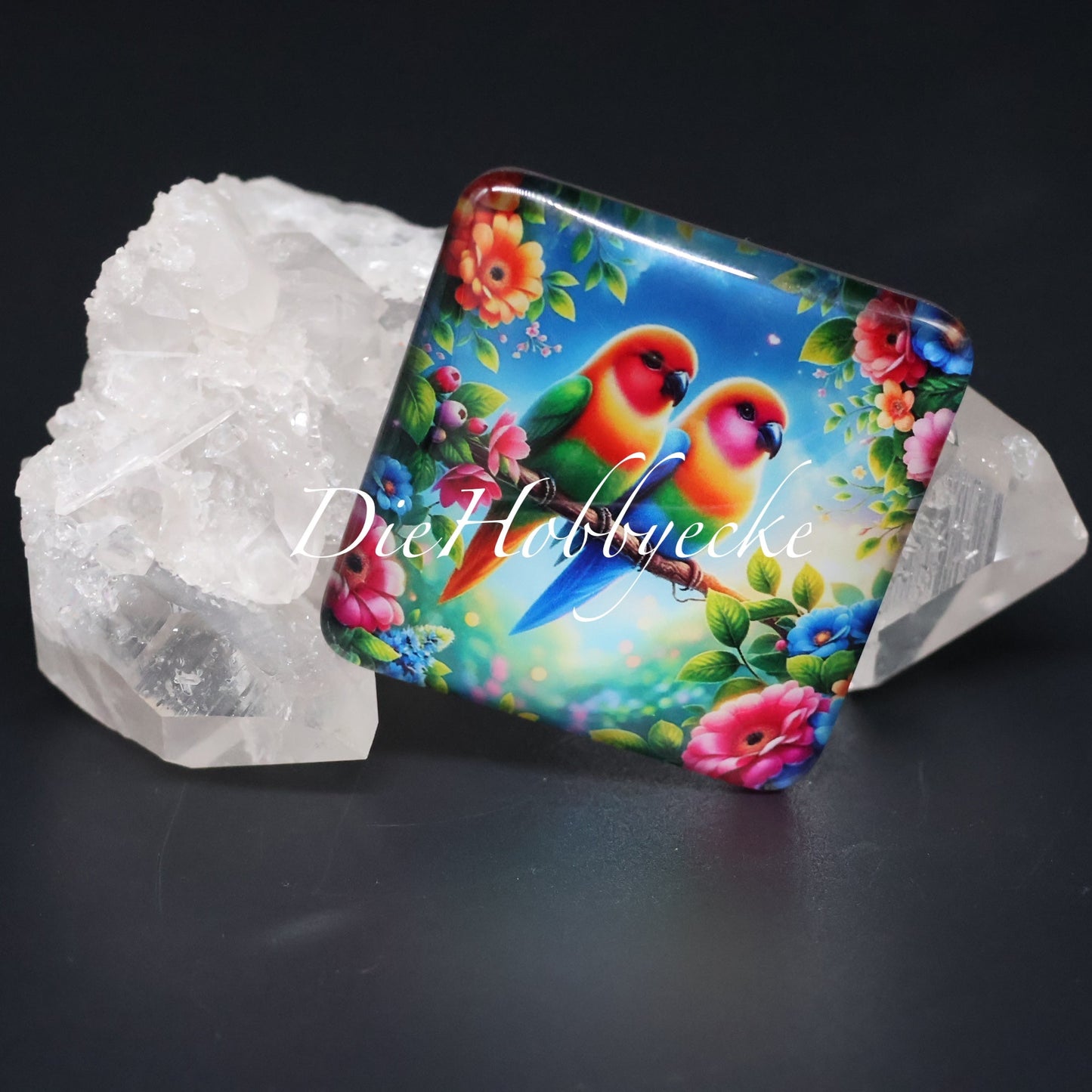 Diamond Painting Cover Minder Papageien-Pärchen Kiwi&Mango