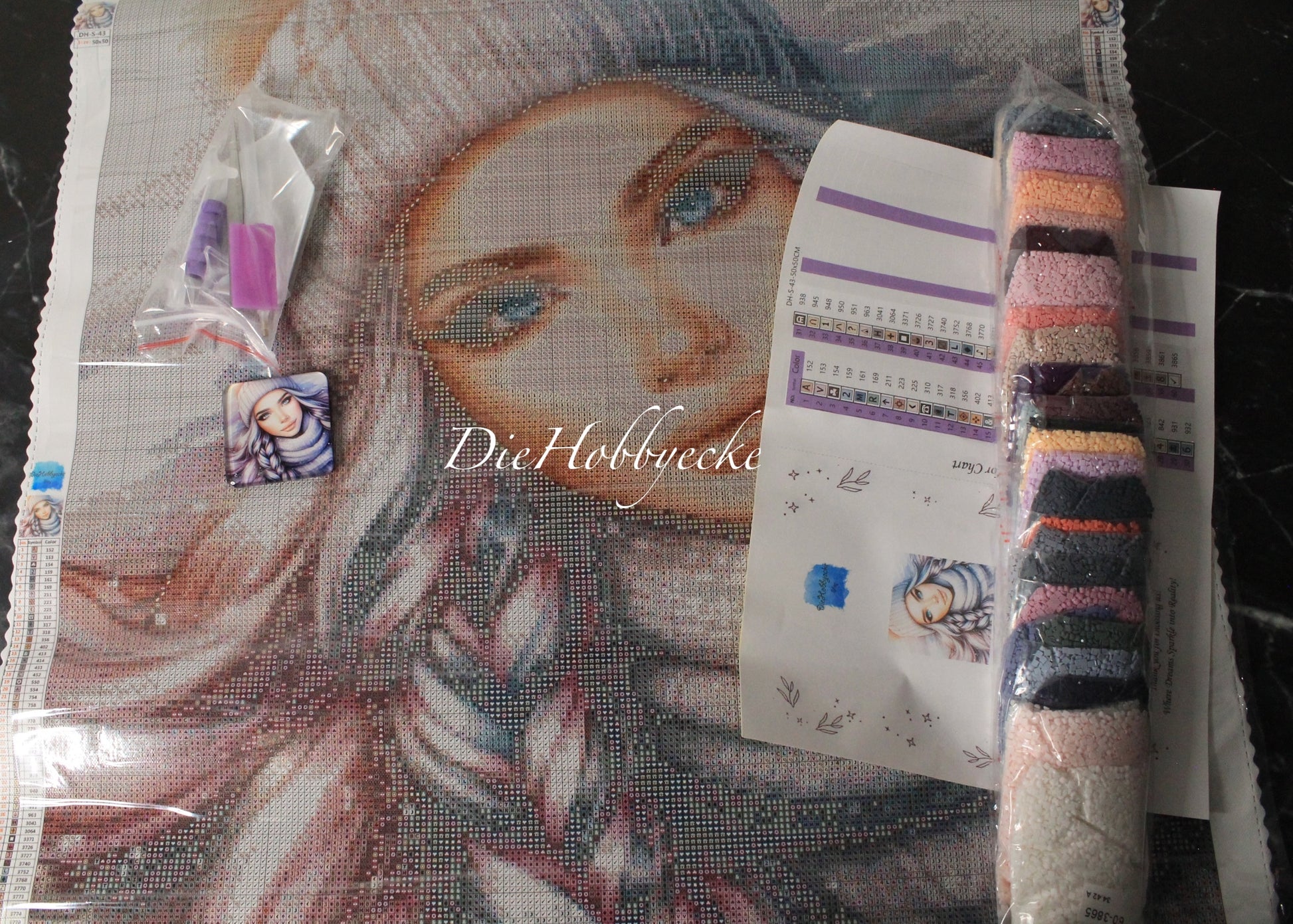 Diamond Painting Bild Alice Winter