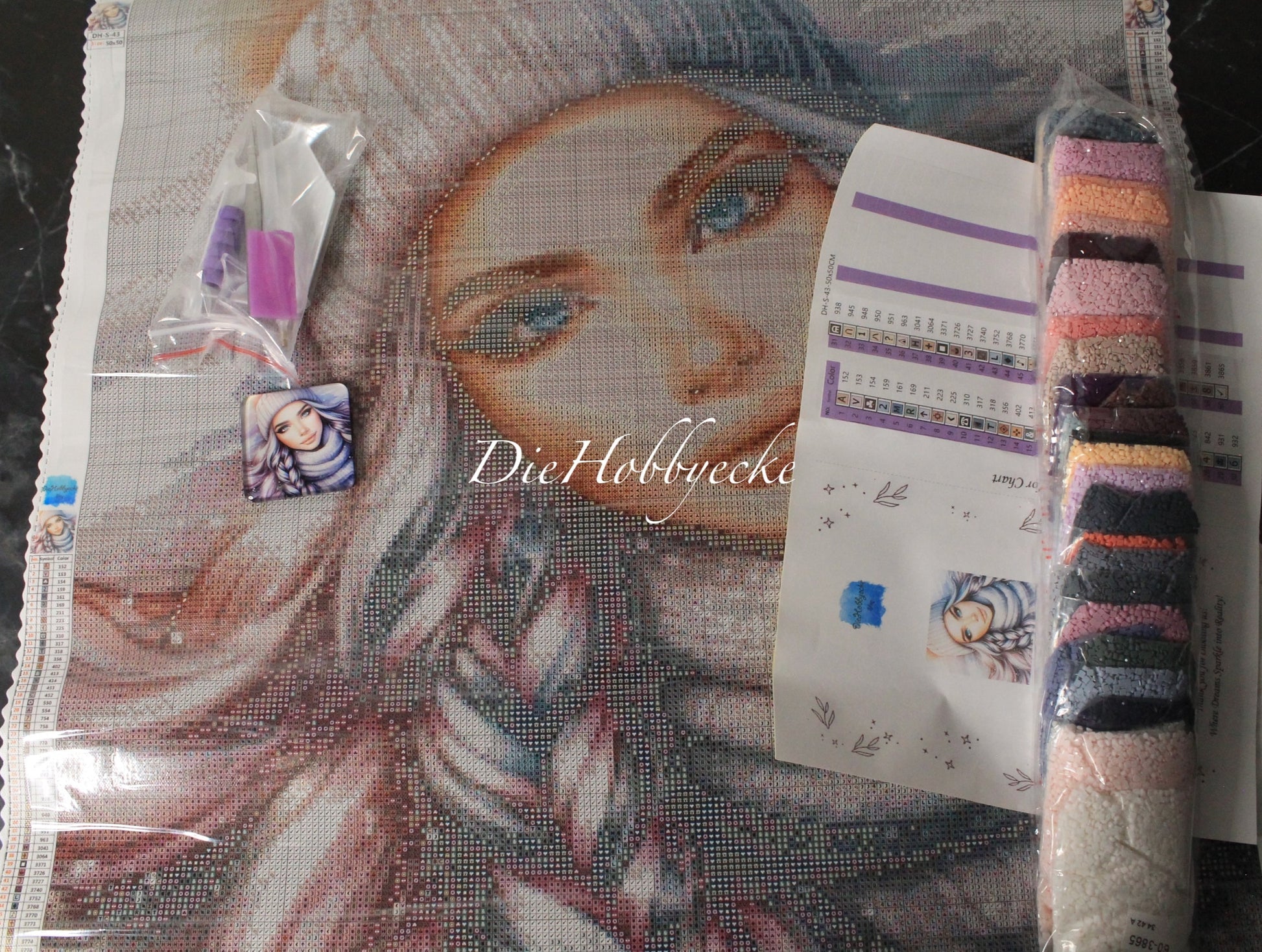 Diamond Painting Bild Alice im Winter