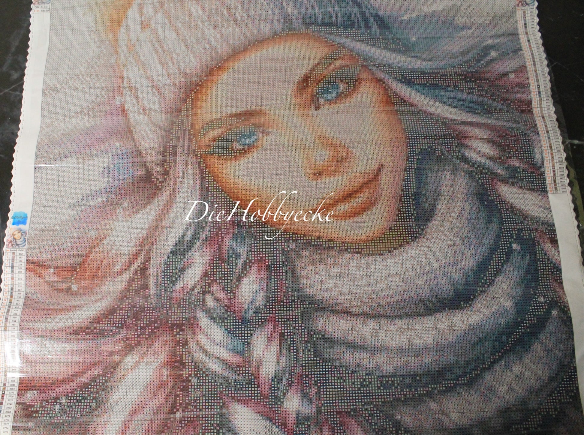Diamond Painting Bild Alice im Winter