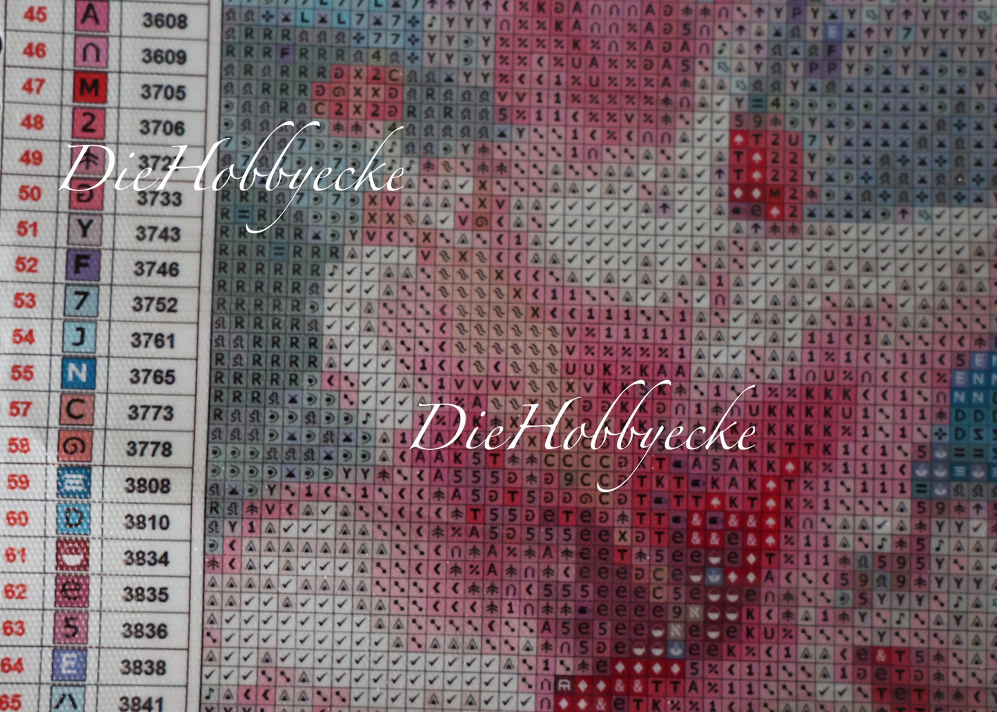 DP Bild Flamingo-Paradies