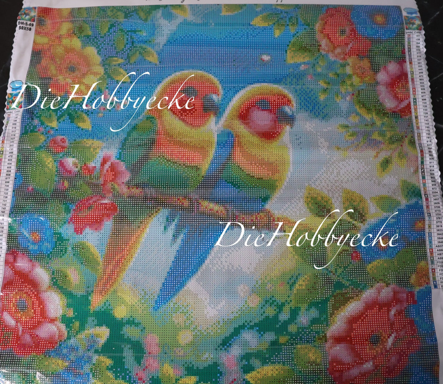 Diamond Painting Bild Papageien-Pärchen Kiwi&Mango