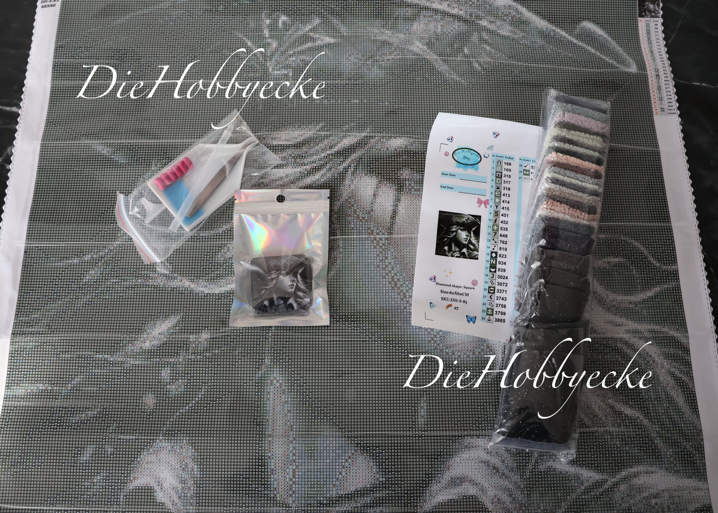 Diamond Painting Bild Piratin Silent Hope