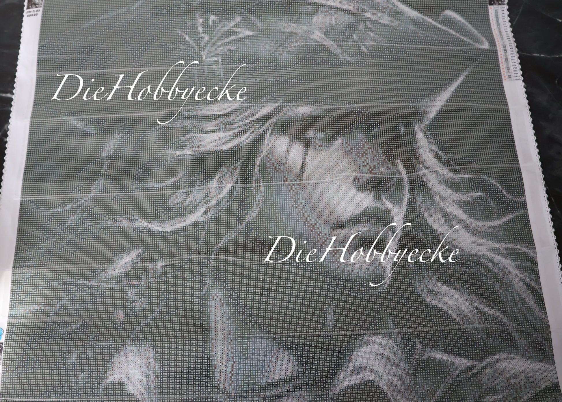 Diamond Painting Bild Piratin Silent Hope