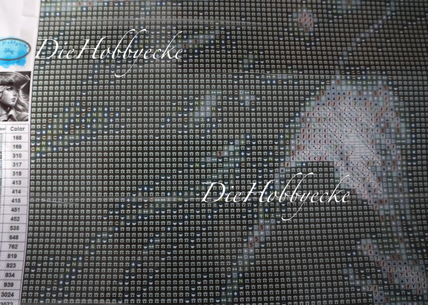 Diamond Painting Bild Piratin Silent Hope