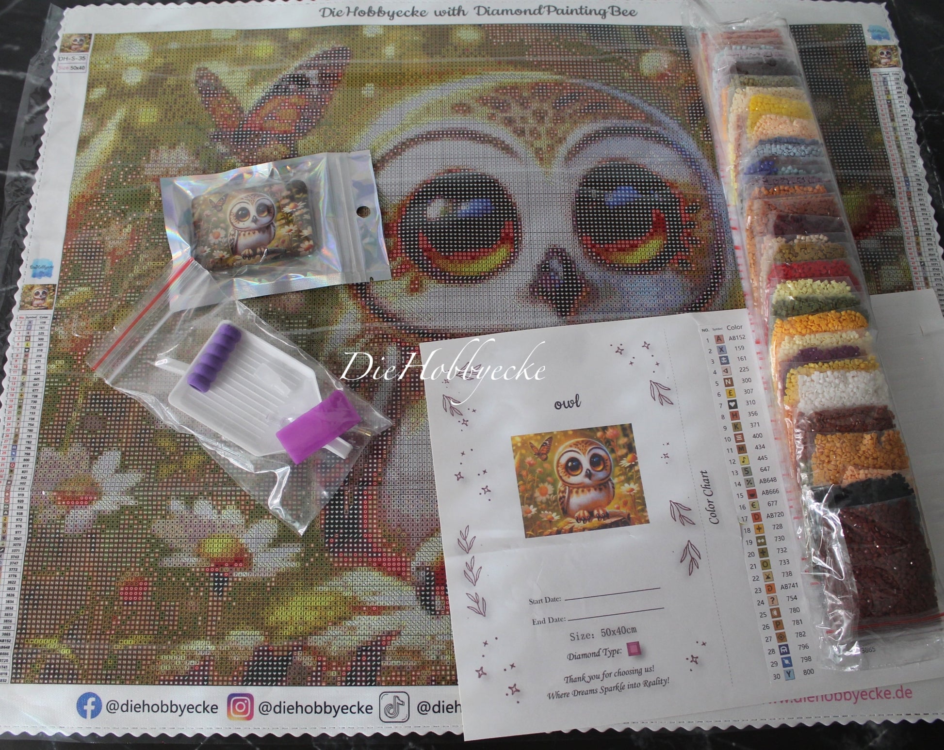 Diamond Painting KI-Künstlerbild Zwergohr Eule