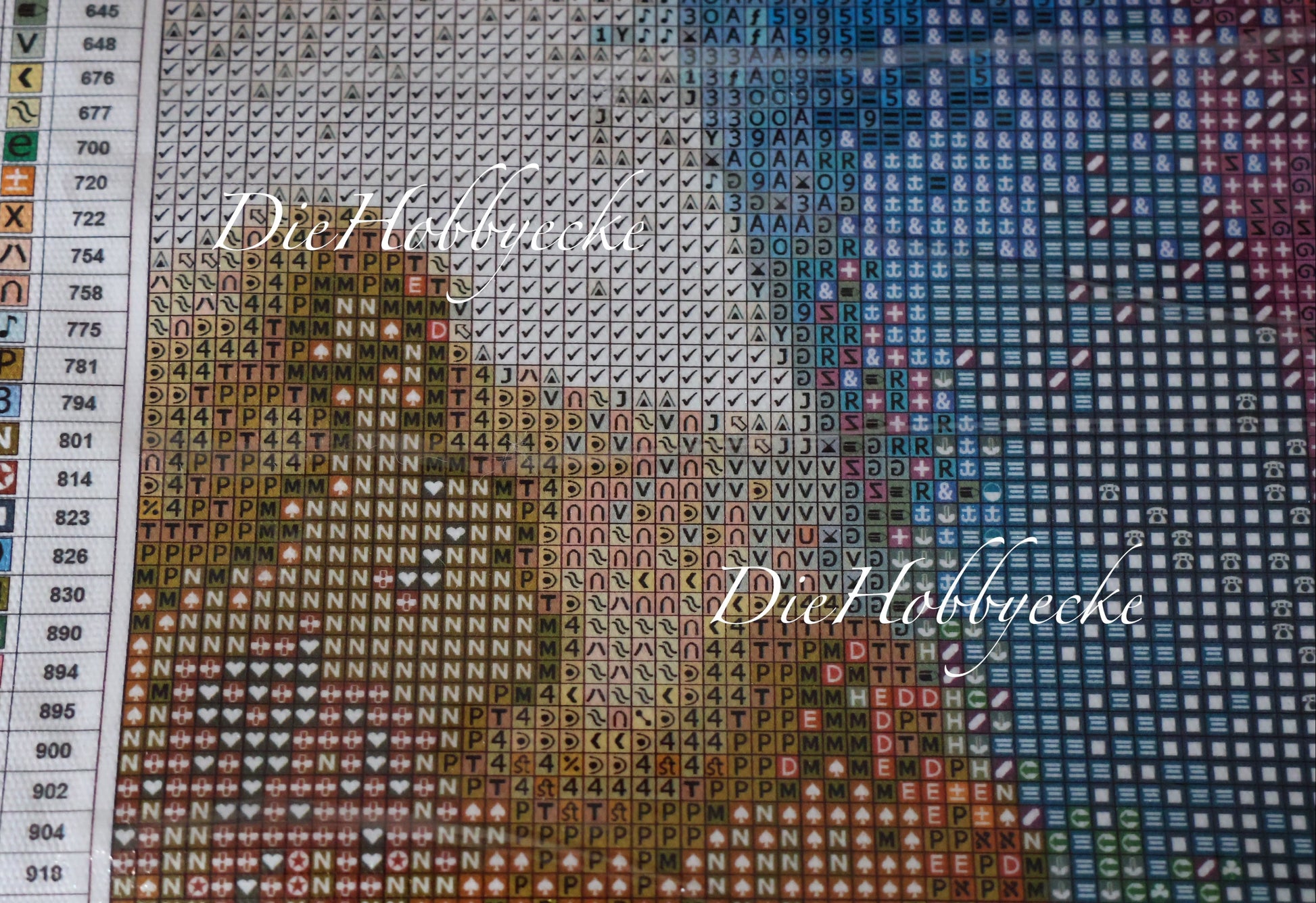 Diamond Painting Bild der anmutige Raya