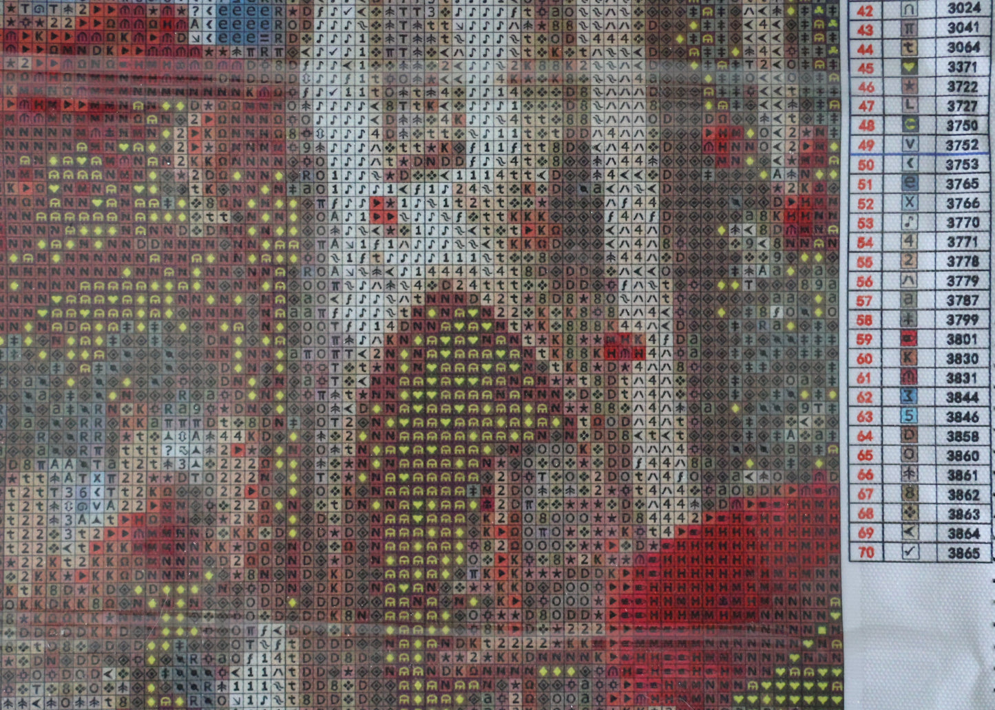 Diamond Painting Bild die Rosenstadt