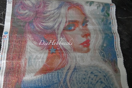 Diamond Painting Blanko-Leinwände verschiedene Motive